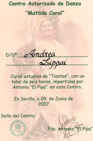Lippai Andrea - kitntetsek